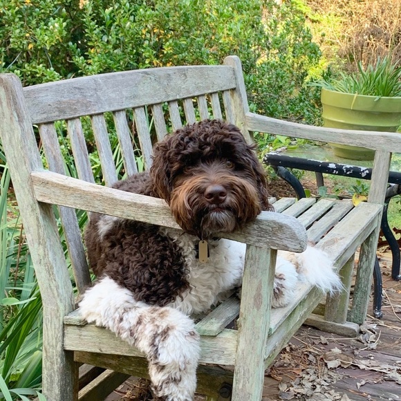 Meet your Posher, Christine - Picture 1 of 3